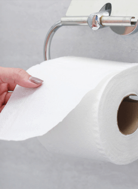 Paper Towels & Toilet Tissue